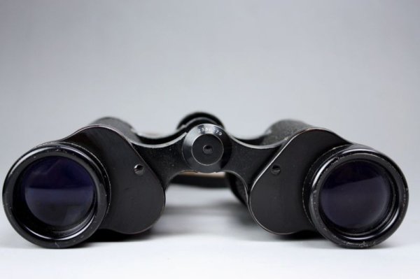CARL ZEISS JENA DELTRINTEM 8×30 双眼鏡 □スウェーデン - 北欧
