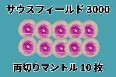 画像1: サウスフィールド 3000 ランタン マントル 10枚セット【送料無料】/SouthField D-X 2マントル (1)