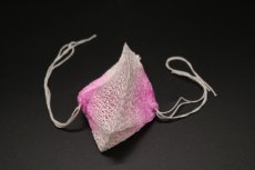 画像3: ヴェイパラックス, バイアラジン 両切りマントル 30枚セット 落下防止用クリップ付き【送料無料】/Vapalux, Bialaddin (3)